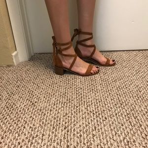 steve madden rizza